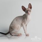 DANIELA Anima et Vita*BY