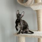 HRISTINA Anima et Vita*BY