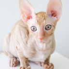 MAY Anima et Vita*by