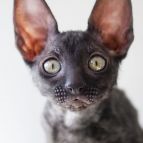 MARTA Anima et Vita*by