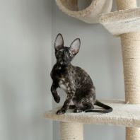 HRISTINA Anima et Vita*BY