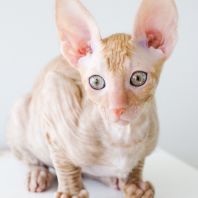 MAY Anima et Vita*by