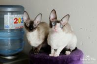 9 месяцев, с мамой.