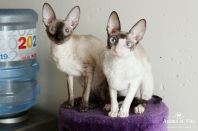 9 месяцев, с мамой.