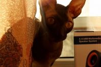 1 год 10 месяцев