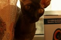 1 год 10 месяцев