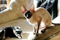 10 месяцев! Греемся на солнышке. Скоро весна!