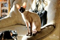 10 месяцев! Греемся на солнышке. Скоро весна!