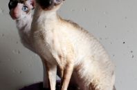 Почти год! Осталась неделя.