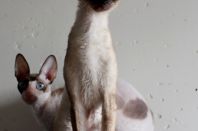 Почти год! Осталась неделя.