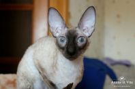 Даночке год и две недельки.