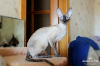 Даночке год и две недельки.