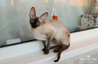 1 год и почти месяц, красавица!