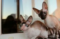 1 год и почти месяц, красавица!