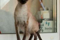 1 год и почти месяц, красавица!