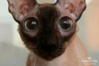 1 год и почти месяц, красавица!