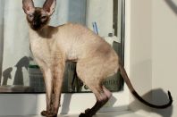 сегодня 1 год и 1 месяц