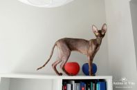 2 года 2 месяца.