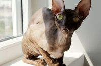 2 года 2 месяца.