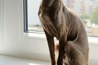 2 года 2 месяца.