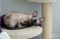 1 год 2 месяца