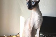 греемся на солнышке