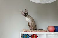 Даночке 2 года