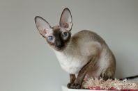 Даночке 2 года