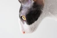 Kleopatra Anima et Vita*by, 5м.2нед.