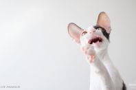 Kleopatra Anima et Vita*by, 5м.2нед.