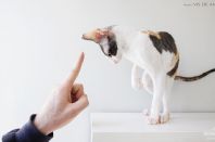 Kleopatra Anima et Vita*by, 5м.2нед.