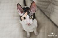 Клёпе 7 месяцев)