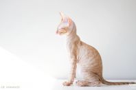 2 месяца 3 недели