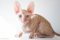 2 месяца 3 недели