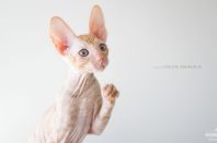 2 месяца 3 недели