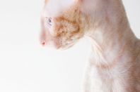 2 месяца 3 недели