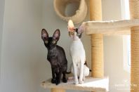 через неделю нам год 