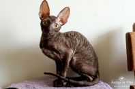 3 месяца 20 дней