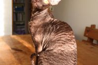 5 месяцев 24 дня