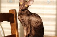 5 месяцев 24 дня