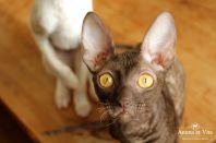 5 месяцев 24 дня