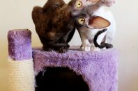 без 6 дней семь месяцев